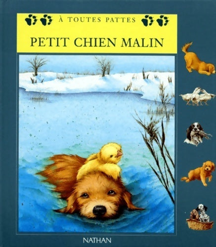 Livrenpoche : Petit chien malin - Muriel Pépin - Livre