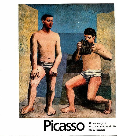 Picasso : Oeuvres reçues en paiement des droits de succession - Collectif -  Musées Nationaux GF - Livre