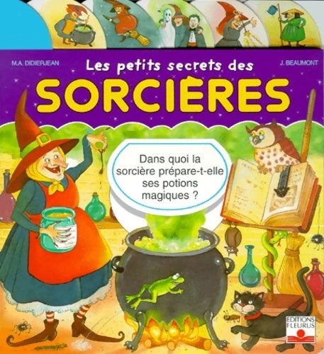Livrenpoche : Les petits secrets des sorcières - Marie-Anne Didierjean - Livre