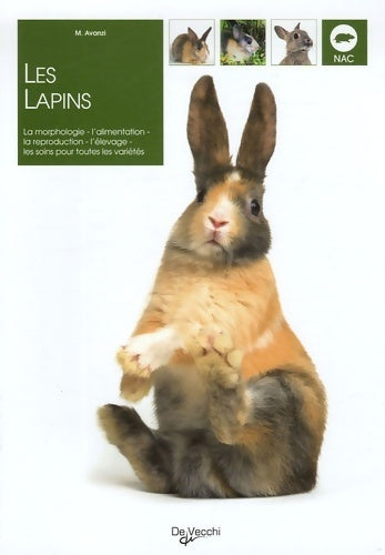 Livrenpoche : Les lapins - M Avanzi - Livre