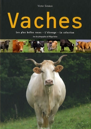Vaches - Victor Siméon -  De Vecchi GF - Livre