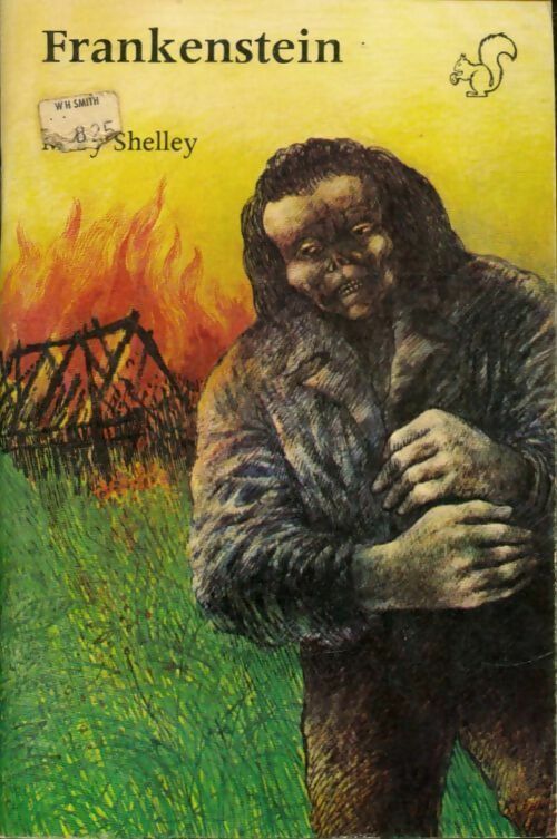 Frankenstein - Mary Shelley -  Longman - Livre
