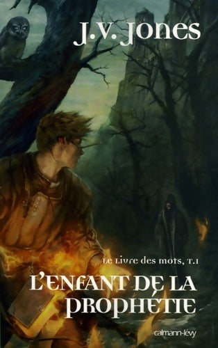 Livrenpoche : Le livre des mots Tome I : L'enfant de la prophétie - J.V Jones - Livre