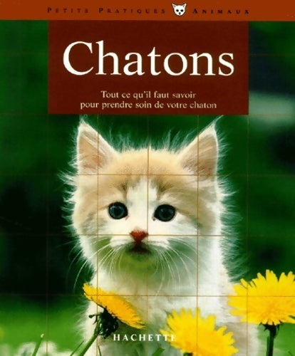 Livrenpoche : Chatons - Ute Lehmann - Livre