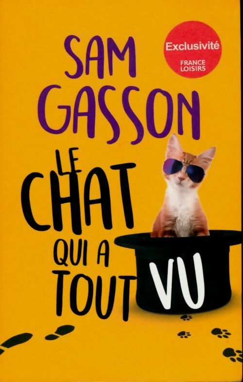 Livrenpoche : Le chat qui a tout vu - Sam Gasson - Livre