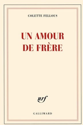 Livrenpoche : Un amour de frère - Colette Fellous - Livre