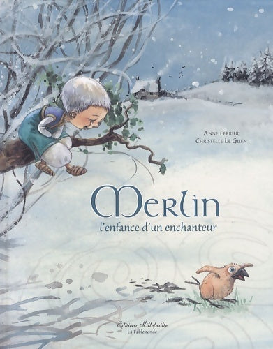 Livrenpoche : Merlin, l'enfance d'un enchanteur - Anne Ferrier - Livre