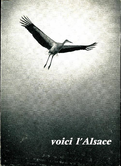 Livrenpoche : Voici l'Alsace - Edith Dernelle - Livre