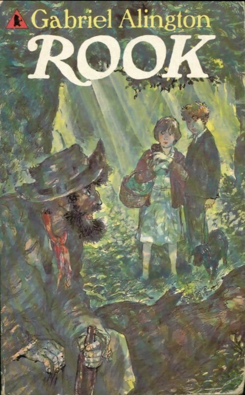 Livrenpoche : Rook - Gabriel Alington - Livre