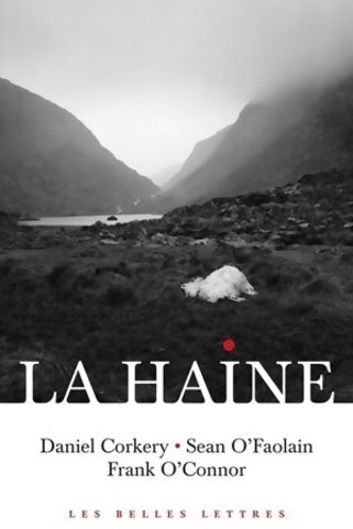 Livrenpoche : La haine - Daniel Corkery - Livre