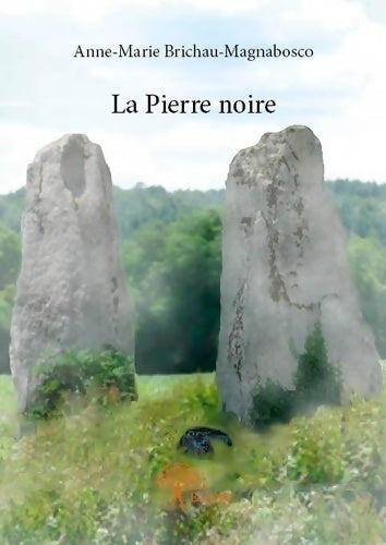Livrenpoche : La pierre noire - Anne-Marie Brichau, Anne-Marie Brichau-M - Livre