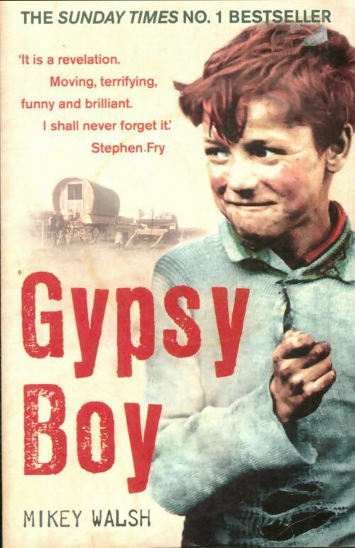 Livrenpoche : Gypsy boy - Walsh Mikey - Livre