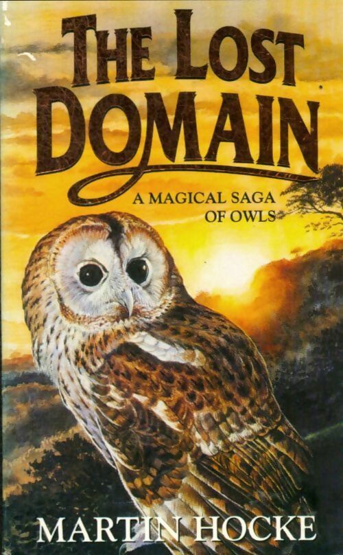 Livrenpoche : The lost domain - Martin Hocke - Livre