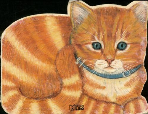 Livrenpoche : Petit chat - Debora Burr - Livre
