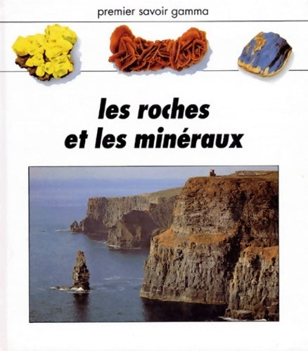 Livrenpoche : Les roches et les minéraux - Keith Lye - Livre