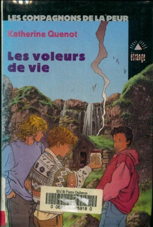 Livrenpoche : Les voleurs de vie - Katherine Quenot - Livre