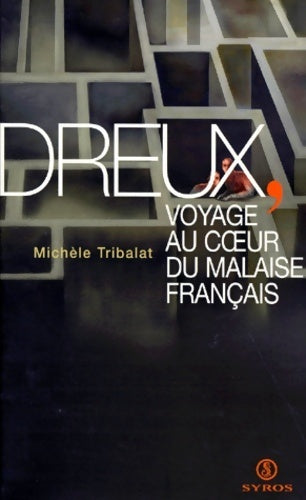 Dreux, voyage au coeur du malaise français - Michèle Tribalat - Livre