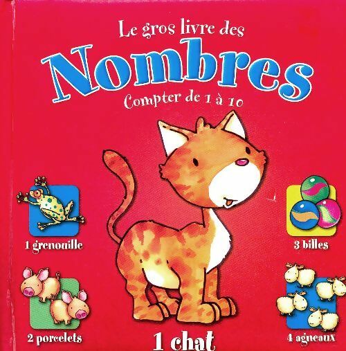 Livrenpoche : Le gros livre des nombres - Collectif - Livre
