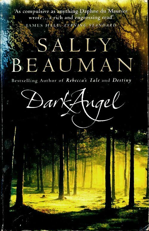 Livrenpoche : Dark angel - Sally Beauman - Livre
