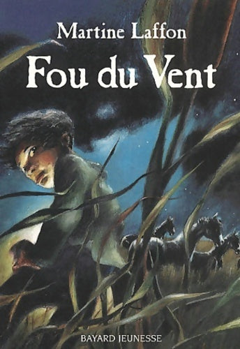 Livrenpoche : Fou du vent - Martine Laffon - Livre