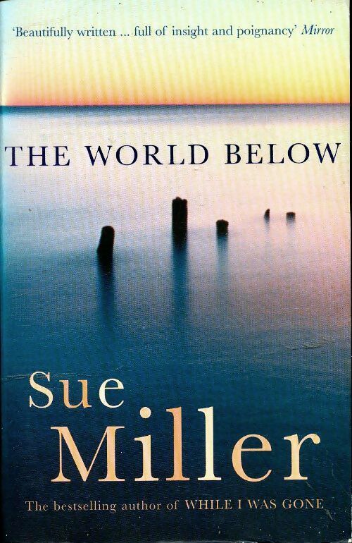 Livrenpoche : The world below - Sue Miller - Livre