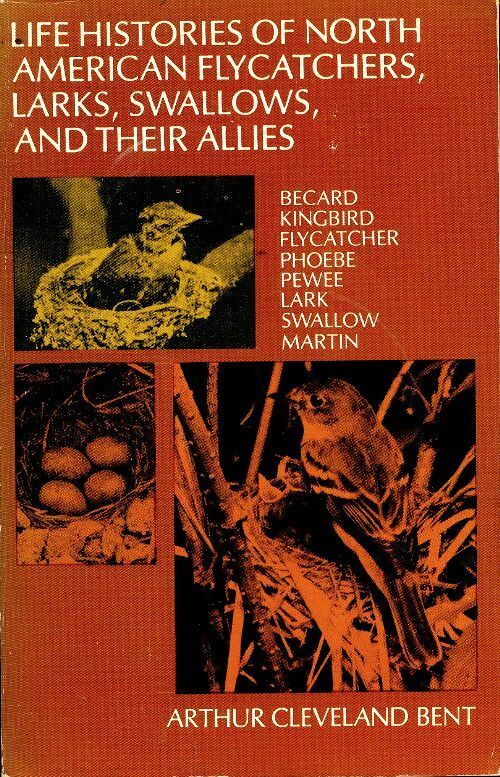 Livrenpoche : Life histories of north american flycatchers larks swallows and their allies - Collectif - Livre
