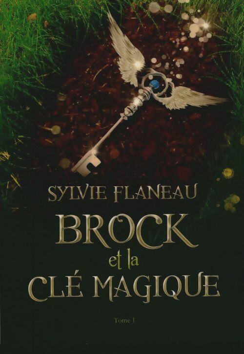 Livrenpoche : Brock et la clé magique Tome I - Sylvie Flaneau - Livre