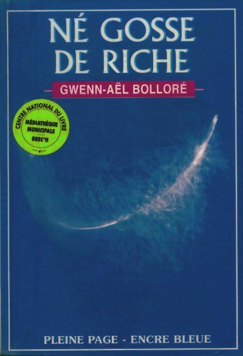 Livrenpoche : Né gosse de riche - Gwen-Aël Bolloré - Livre