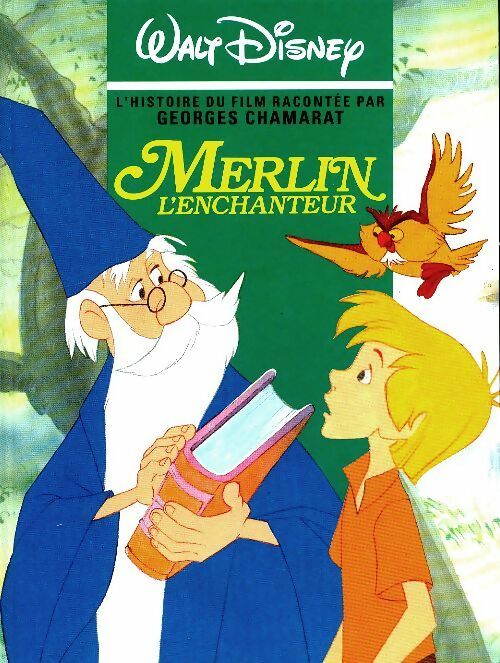Merlin l'Enchanteur - Collectif -  Disney records - Livre