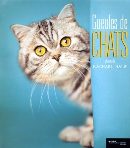 Livrenpoche : Gueules de chats - Rachael Hale - Livre