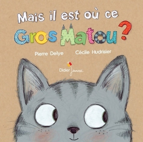 Livrenpoche : Mais il est où ce gros matou ? - Pierre Delye - Livre