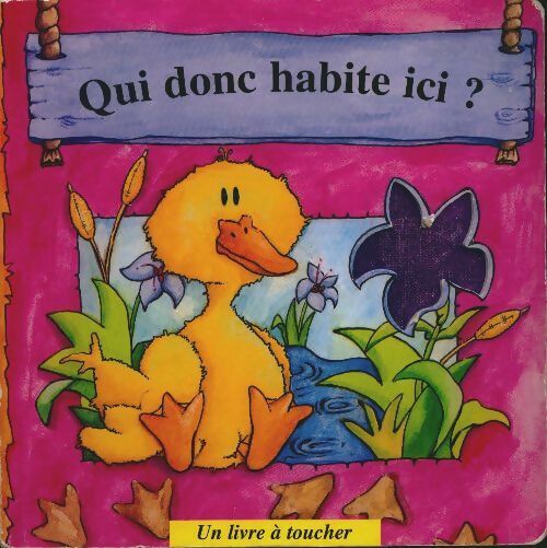 Livrenpoche : Qui donc habite ici ? - Heather Henning - Livre