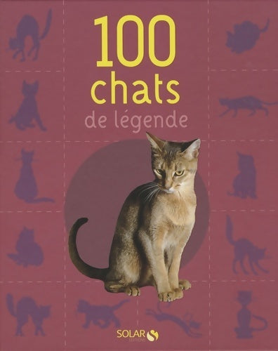 100 chats de légende - Stefano Salviati - Livre