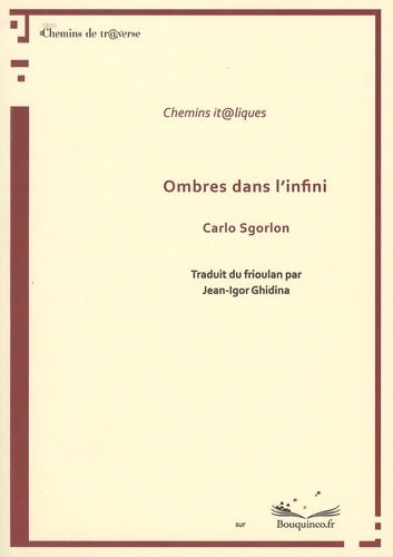 Livrenpoche : Ombres dans l'infini - Carlo Sgorlon - Livre
