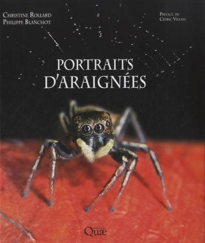 Portraits d'araignées - Philippe Blanchot - Livre