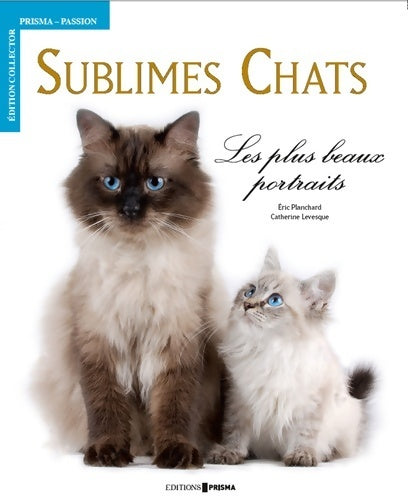 Livrenpoche : Sublimes chats : Les plus beaux portraits de levesque. Catherine (2011) relié - Catherine Levesque - Livre