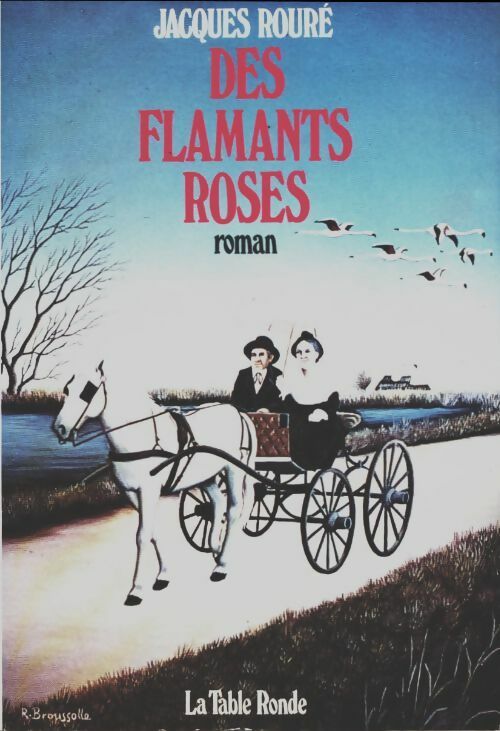 Livrenpoche : Des flamants roses - Jacques Rouré - Livre