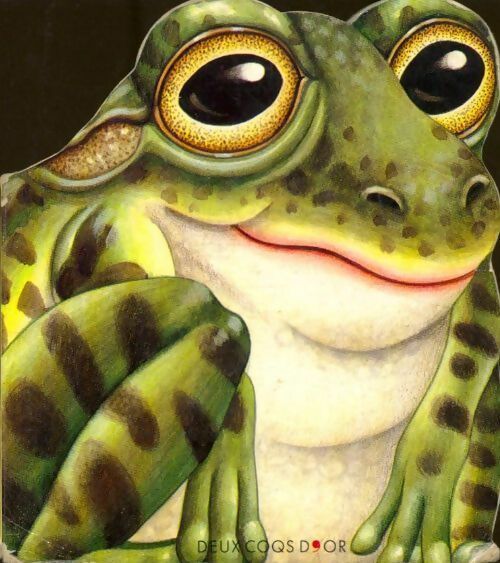 Livrenpoche : La grenouille de l'étang - Lorella Rizzati - Livre