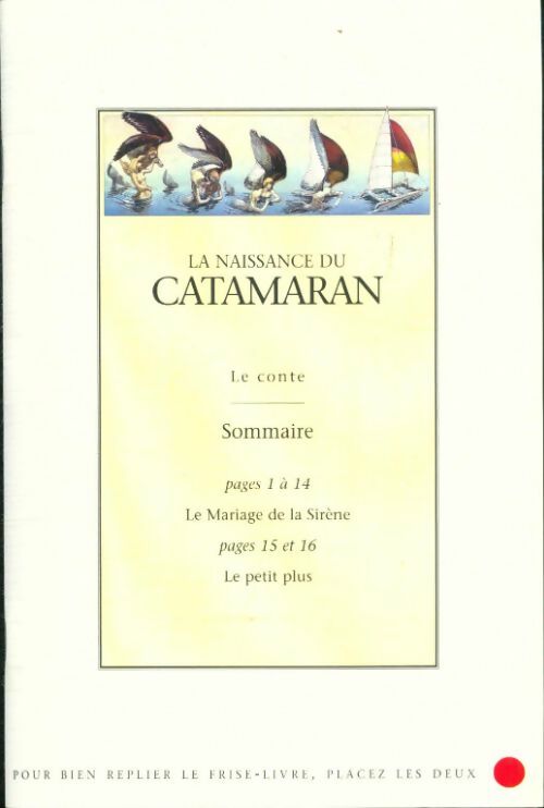 Livrenpoche : La naissance du catamaran - Jean-Olivier Héron - Livre