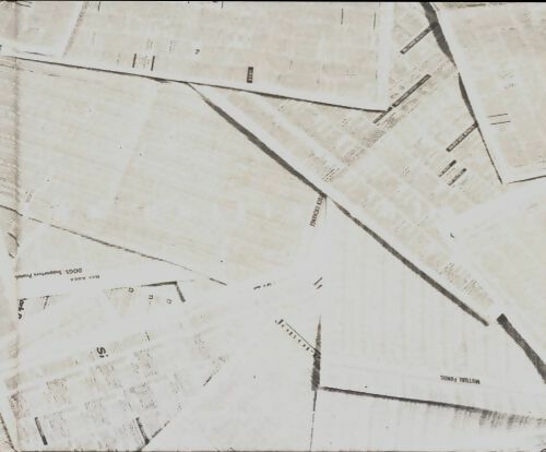 Livrenpoche : Les petits chiens - Sharon Beals - Livre