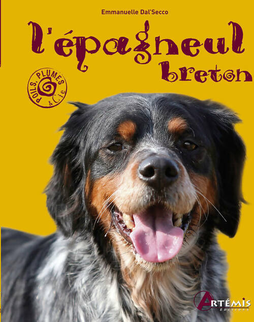 Livrenpoche : L epagneul breton - Emmanuelle Dal'Secco - Livre