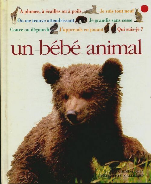 Livrenpoche : Qui suis-je ? un bébé animal - Christopher Maynard - Livre