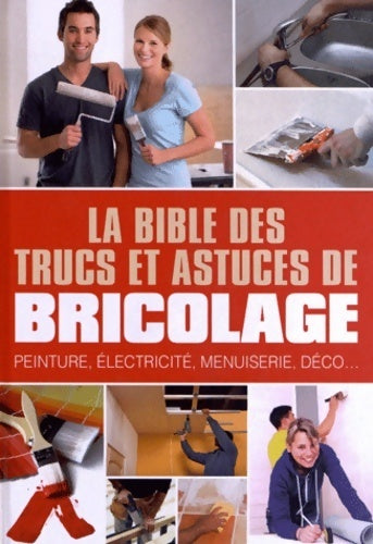 La bible des trucs et astuces de bricolage : Peinture électricité menuiserie déco - Laurent Vinet - Livre
