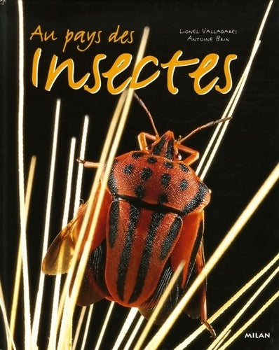 Livrenpoche : Au pays des insectes - Antoine Brin - Livre