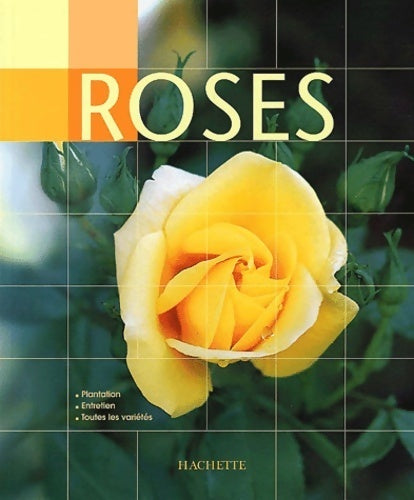 Livrenpoche : Roses - Amanda Beales - Livre