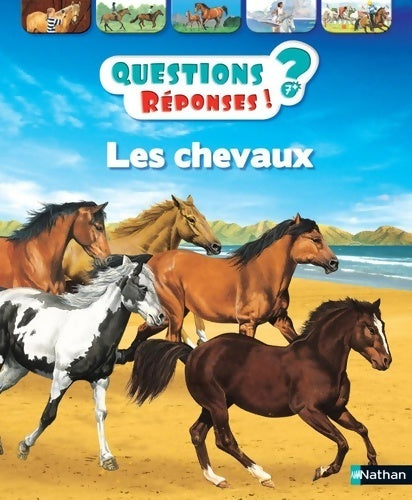 Les chevaux - questions/réponses - doc dès 7 ans (1) - Jackie Gaff - Livre