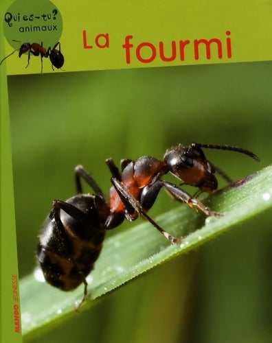 Livrenpoche : La fourmi - Vincent Albouy - Livre