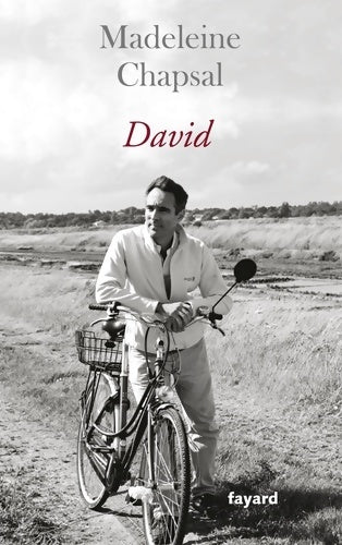 Livrenpoche : David - Madeleine Chapsal - Livre