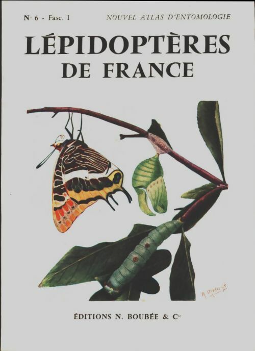 Lépidoptères de France n°6 fascicule I - F Le Cerf -  Boubée GF - Livre