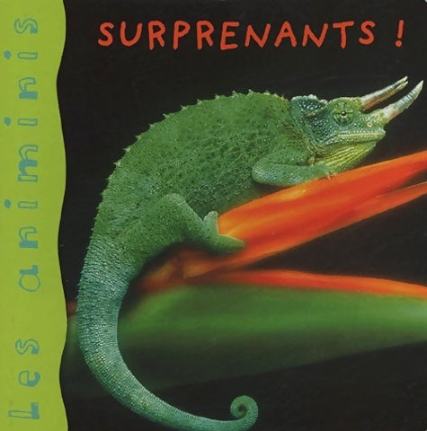 Livrenpoche : Les animinis : Animaux surprenants - Elisabeth De Lambilly-Bresson - Livre